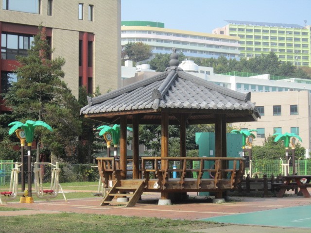 1685668006-81.jpg